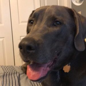 Meet your Posher, Jackson